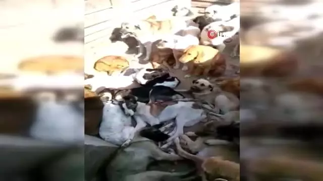 Artvin'de yürek burkan görüntü... Oluşan manzarayı gözyaşlarıyla görüntülediler Artvin'de yürek burkan görüntü... Oluşan manzarayı gözyaşlarıyla görüntülediler