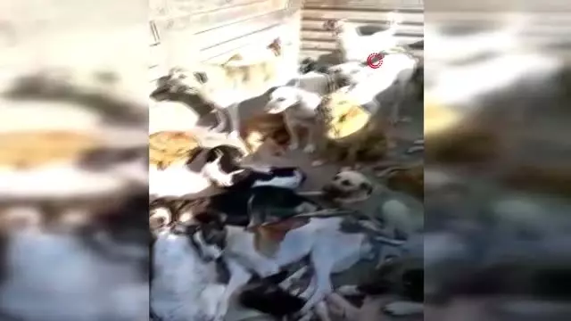 Artvin'de yürek burkan görüntü... Oluşan manzarayı gözyaşlarıyla görüntülediler Artvin'de yürek burkan görüntü... Oluşan manzarayı gözyaşlarıyla görüntülediler