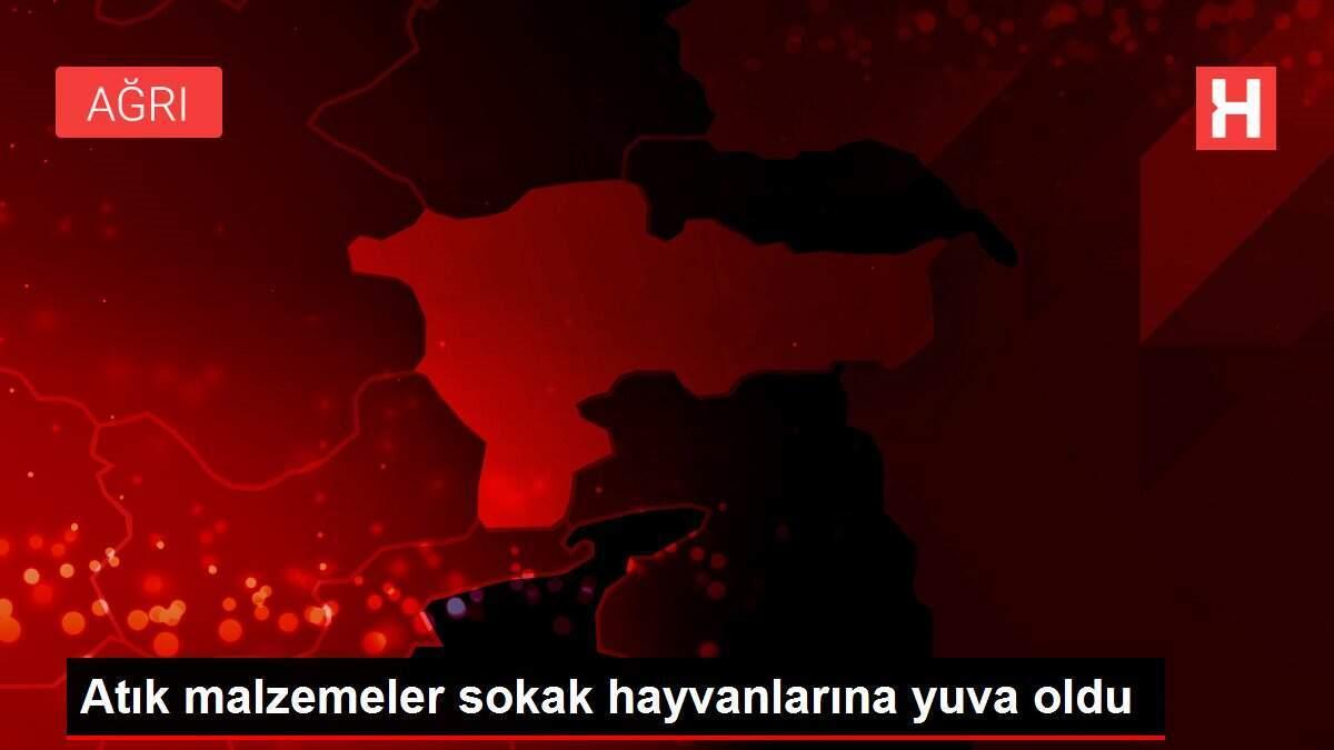 Atık malzemeler sokak hayvanlarına yuva oldu Atık malzemeler sokak hayvanlarına yuva oldu