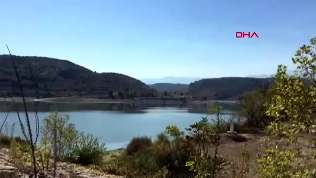 Balık tutarken gözüne saçma isabet etti Balık tutarken gözüne saçma isabet etti