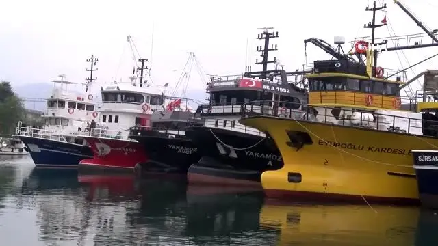 Balıkçılar sezondan beklediklerini bulamıyor
