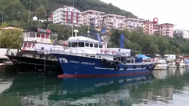 Balıkçılar sezondan beklediklerini bulamıyor Balıkçılar sezondan beklediklerini bulamıyor