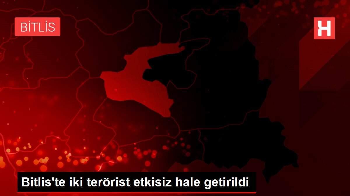 Bitlis'te iki terörist etkisiz hale getirildi