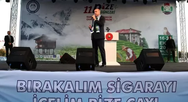 Cumhurbaşkanı Erdoğan'ın duyurduğu tek tip sigara paketi uygulaması 5 Aralık'tan itibaren başlayacak