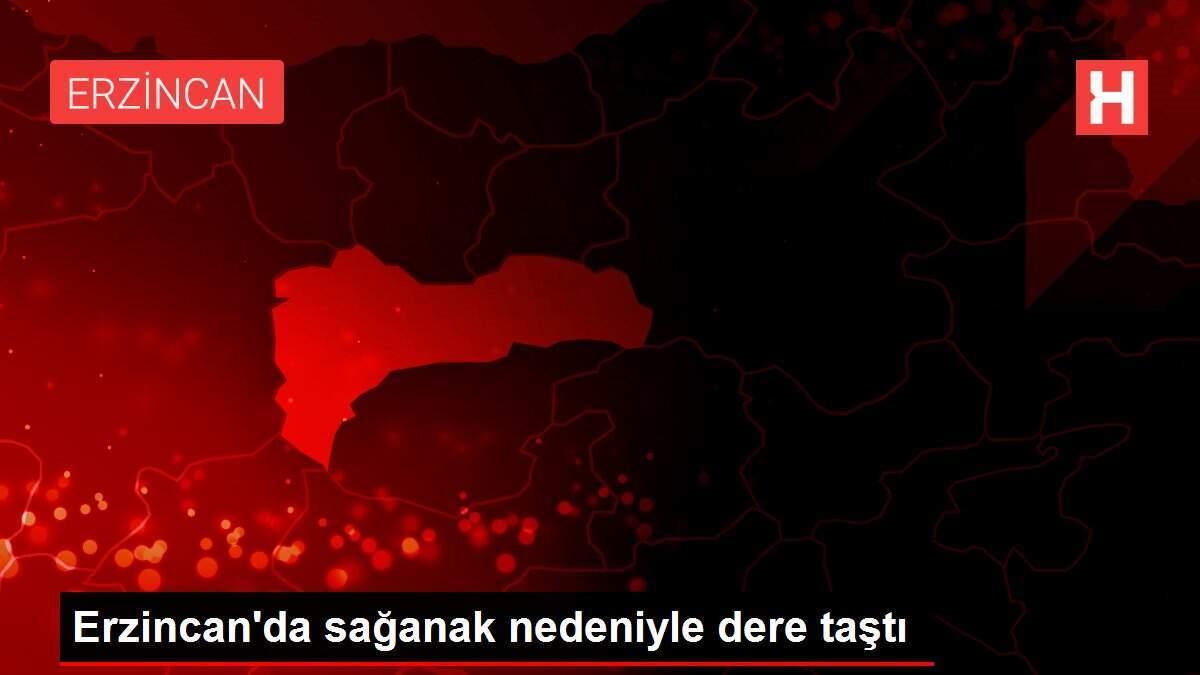 Erzincan'da sağanak nedeniyle dere taştı