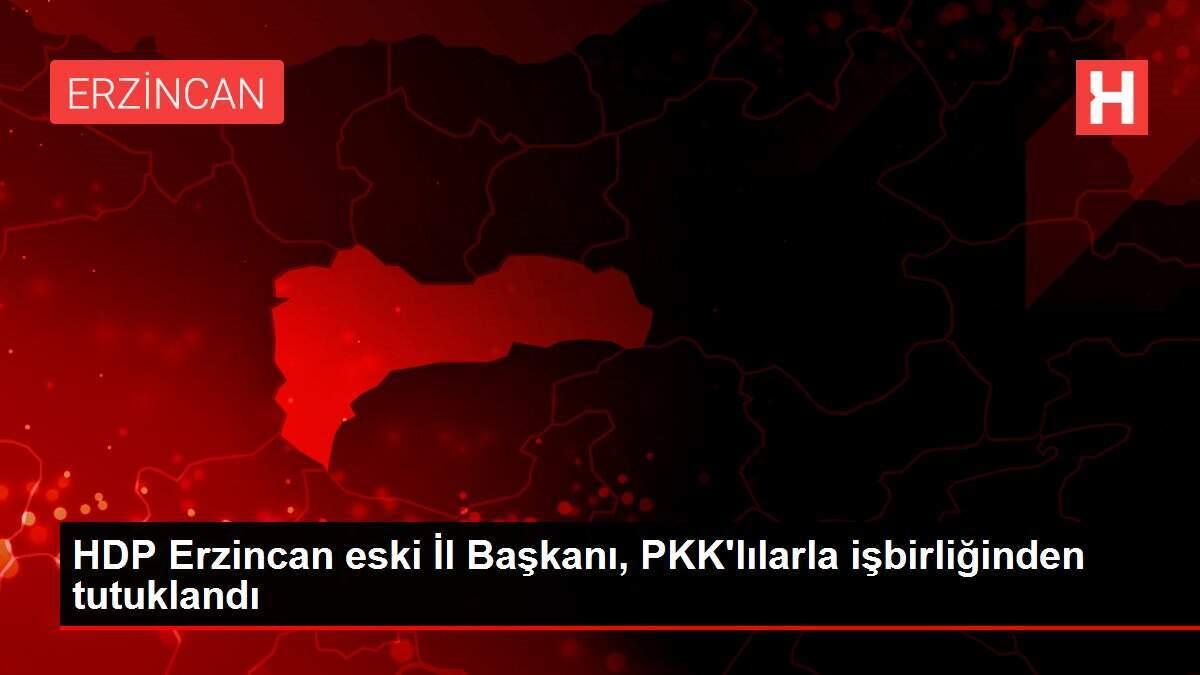 HDP Erzincan eski İl Başkanı, PKK'lılarla işbirliğinden tutuklandı