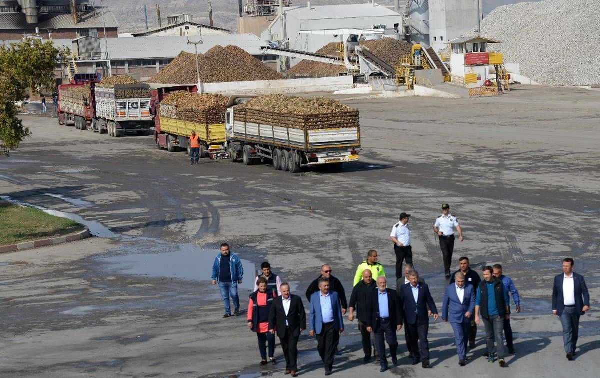 Kayseri Şeker'de, Randevulu Pancar Sökümü ve Tesellüme Uyum Oranı yüzde 97