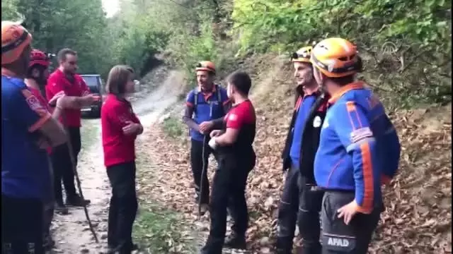 Kestane ağacından düşen kişi öldü - BURSA Kestane ağacından düşen kişi öldü - BURSA