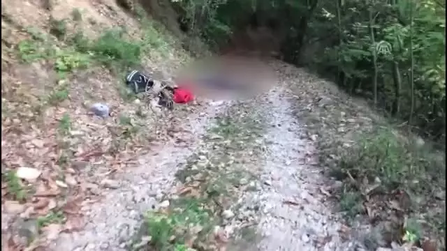 Kestane ağacından düşen kişi öldü - BURSA Kestane ağacından düşen kişi öldü - BURSA
