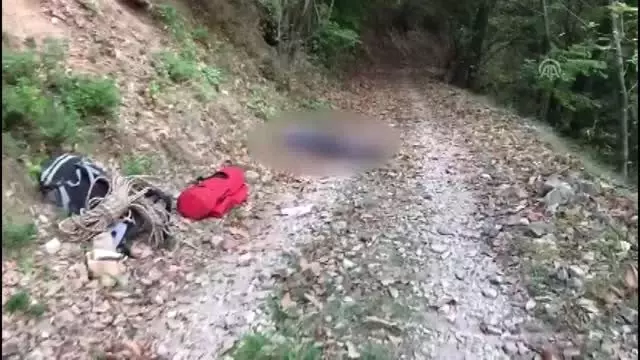 Kestane ağacından düşen kişi öldü - BURSA Kestane ağacından düşen kişi öldü - BURSA