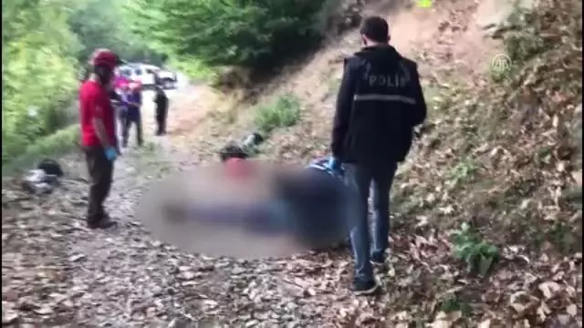 Kestane ağacından düşen kişi öldü - BURSA Kestane ağacından düşen kişi öldü - BURSA