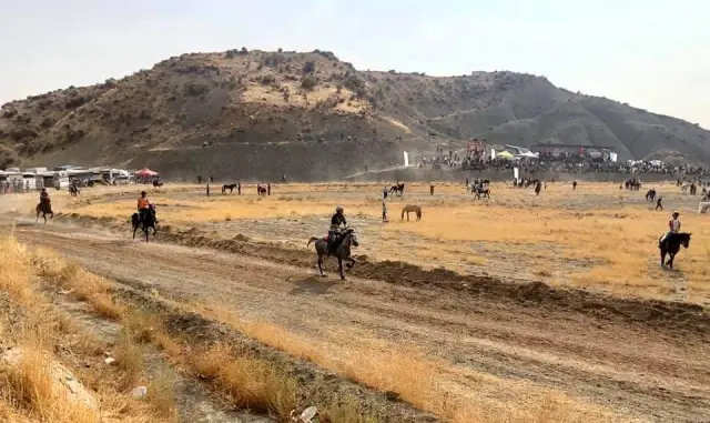 Mardin'de rahvan atları yarıştı Mardin'de rahvan atları yarıştı