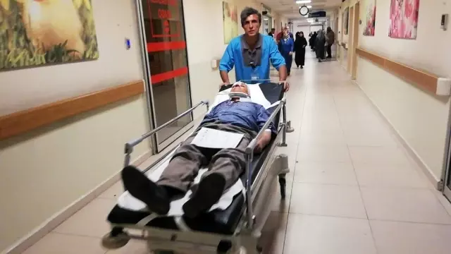 Meyve bahçesinde daldı: 3 yaralı