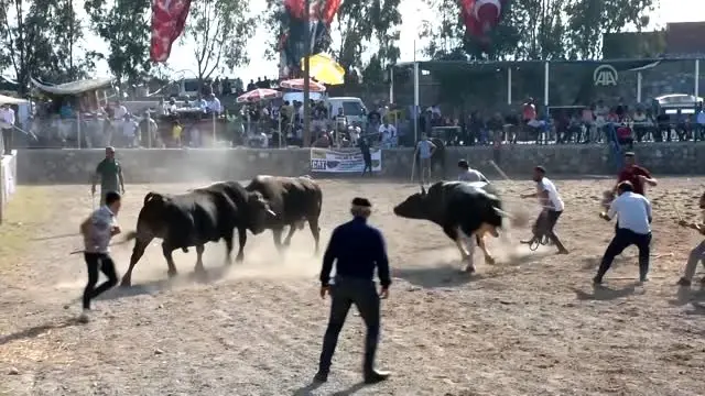 Muğla'da