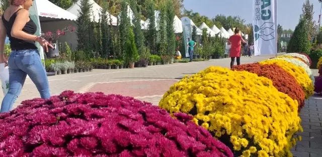 'Ödemiş'te 2 bin aile bitki üretimi ile uğraşıyor' 'Ödemiş'te 2 bin aile bitki üretimi ile uğraşıyor'