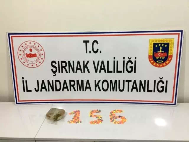Şırnak'ta kaçakçılık ve terörle mücadele operasyonunda 41 gözaltı