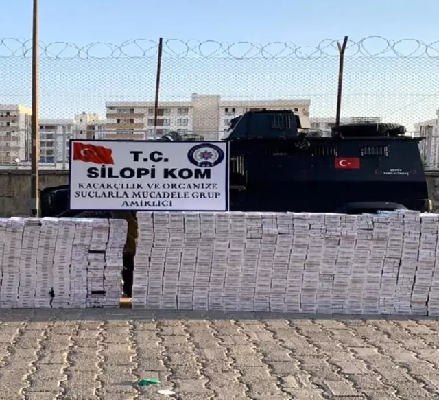 Şırnak'ta kaçakçılık ve terörle mücadele operasyonunda 41 gözaltı Şırnak'ta kaçakçılık ve terörle mücadele operasyonunda 41 gözaltı