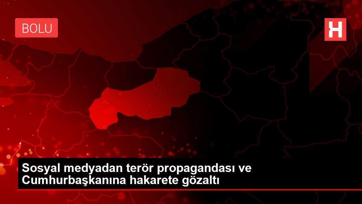 Sosyal medyadan terör propagandası ve Cumhurbaşkanına hakarete gözaltı