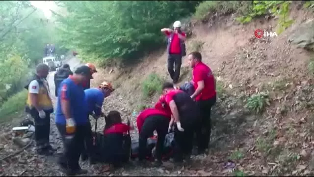 Uludağ'da korkunç ölüm: Kestane toplarken ağaçtan düştü, yolunu kaybedip canından oldu Uludağ'da korkunç ölüm: Kestane toplarken ağaçtan düştü, yolunu kaybedip canından oldu