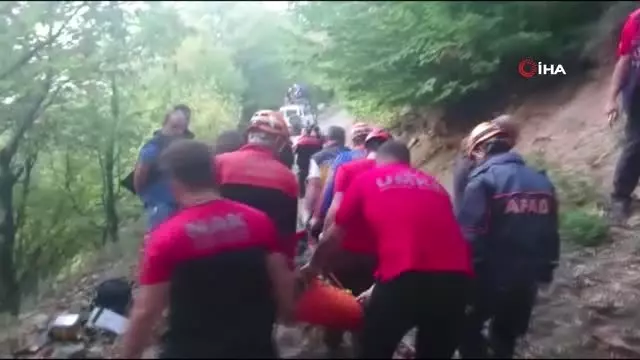 Uludağ'da korkunç ölüm: Kestane toplarken ağaçtan düştü, yolunu kaybedip canından oldu Uludağ'da korkunç ölüm: Kestane toplarken ağaçtan düştü, yolunu kaybedip canından oldu