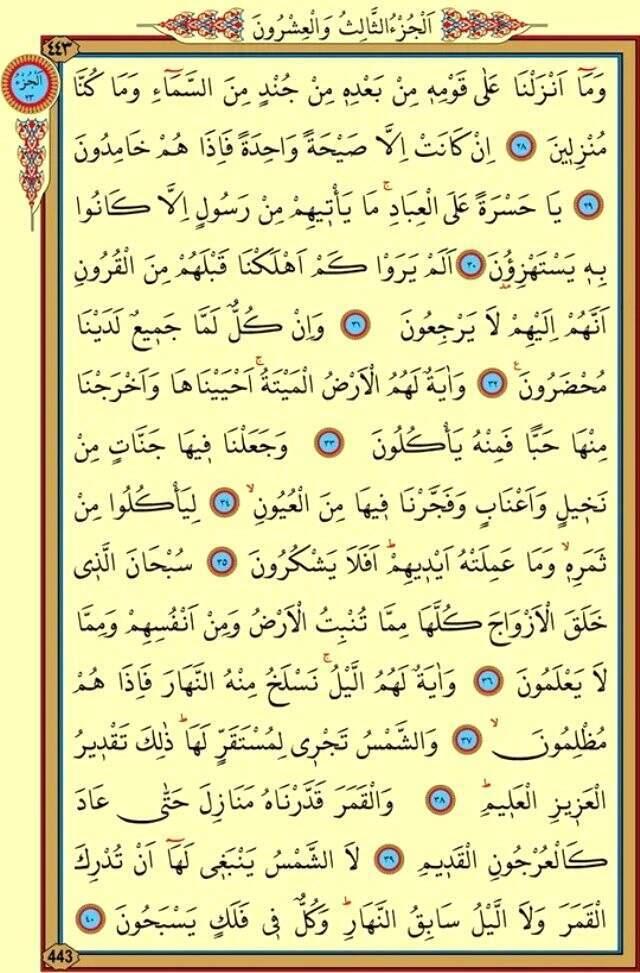 Yasin Suresi okunuşu nasıl? Yasin Suresi Türkçesi, Yasin oku ve Yasin Suresi dinle
