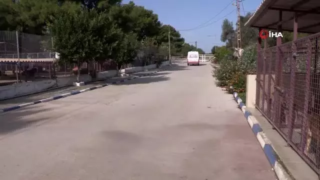 Zehirlenen köpeğin imdadına Petbulance yetişti