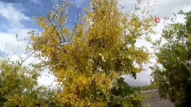 Bozkır'da sonbahar Bozkır'da sonbahar