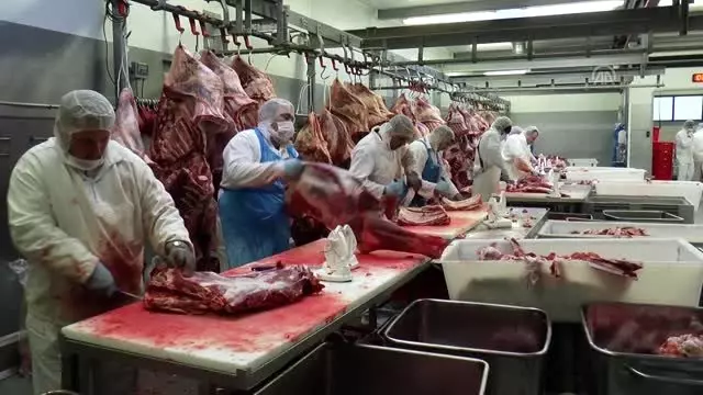 Danimarka'da 'helalinden' kazanıp sektöre yön verdiler Danimarka'da 'helalinden' kazanıp sektöre yön verdiler
