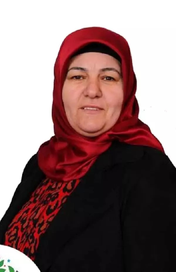 Erciş'te gözaltındaki HDP'li Çetin'in yerine Kaymakam görevlendirildi Erciş'te gözaltındaki HDP'li Çetin'in yerine Kaymakam görevlendirildi