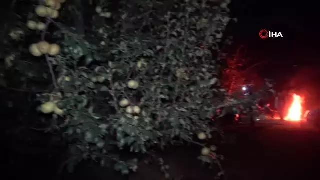 Hırsızlardan bıkan köylü, armut bahçesinde sabaha kadar nöbet tutuyor Hırsızlardan bıkan köylü, armut bahçesinde sabaha kadar nöbet tutuyor