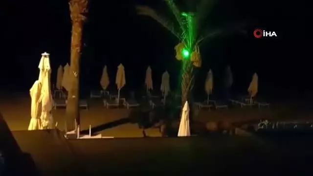 Marmaris'te yaban domuzları sahile inip köpeklere saldırdı Marmaris'te yaban domuzları sahile inip köpeklere saldırdı