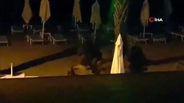 Marmaris'te yaban domuzları sahile inip köpeklere saldırdı Marmaris'te yaban domuzları sahile inip köpeklere saldırdı