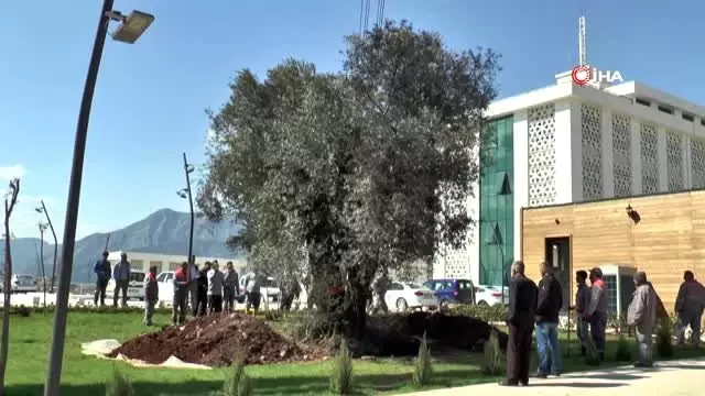 Yol inşaatından sökülüp Kent Meydanı'na yerleştirilmişti. Yol inşaatından sökülüp Kent Meydanı'na yerleştirilmişti.
