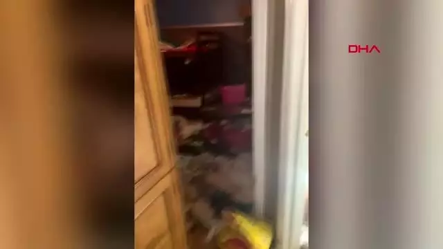 Abd'de bir evden, kötü koşullarda yaşayan 3 çocuk ve 245 hayvan çıktı Abd'de bir evden, kötü koşullarda yaşayan 3 çocuk ve 245 hayvan çıktı