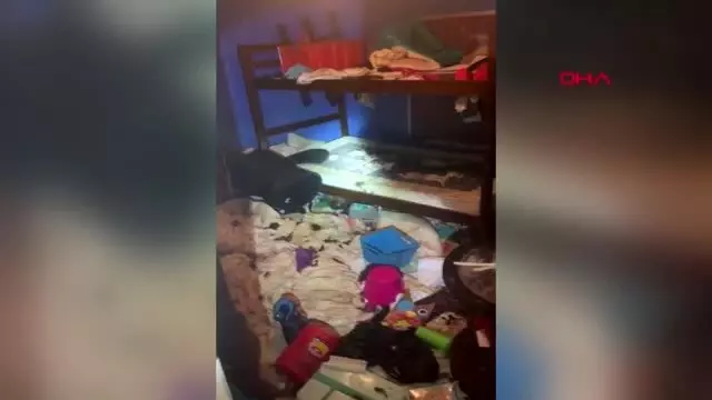 Abd'de bir evden, kötü koşullarda yaşayan 3 çocuk ve 245 hayvan çıktı Abd'de bir evden, kötü koşullarda yaşayan 3 çocuk ve 245 hayvan çıktı