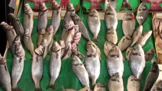 Balık tezgahları boş vatandaşlar dertli Balık tezgahları boş vatandaşlar dertli