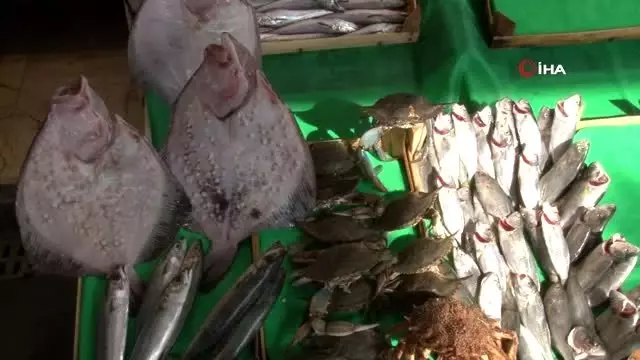 Balık tezgahları boş vatandaşlar dertli Balık tezgahları boş vatandaşlar dertli