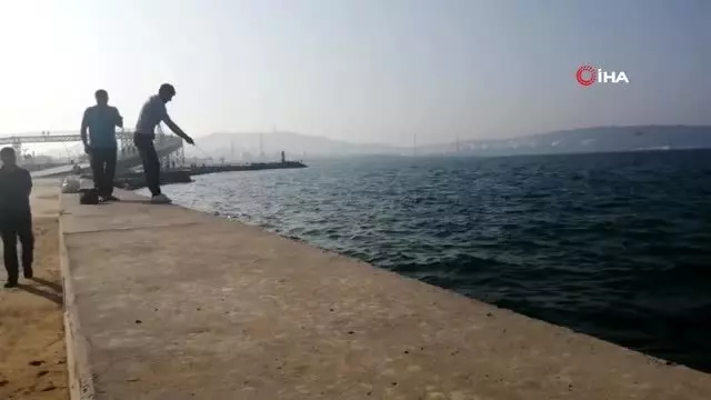 - Kaçak avcıya suçüstü - Kaçak avcıya suçüstü