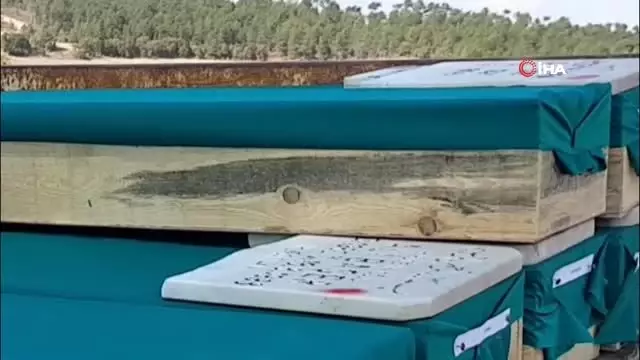 Maden sahasında kalan köy mezarlığındaki kabirler dualarla taşınıyor Maden sahasında kalan köy mezarlığındaki kabirler dualarla taşınıyor
