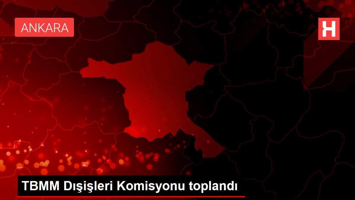 TBMM Dışişleri Komisyonu toplandı