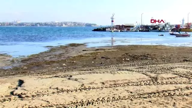 Tekirdağ'da deniz 25 metre çekildi Tekirdağ'da deniz 25 metre çekildi