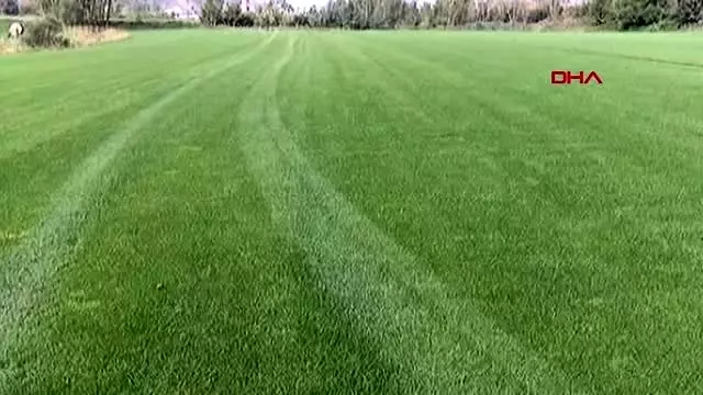 Tekirdağ türkiye'deki stadyumların çimleri tekirdağ'dan Tekirdağ türkiye'deki stadyumların çimleri tekirdağ'dan