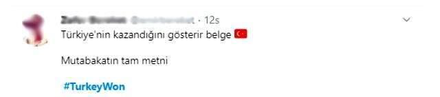 Türkiye'nin Barış Pınarı Harekatı'nda yürüttüğü siyasi başarısı sosyal medyada gündem oldu