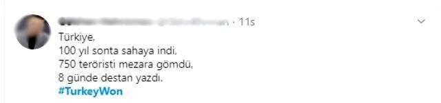 Türkiye'nin Barış Pınarı Harekatı'nda yürüttüğü siyasi başarısı sosyal medyada gündem oldu