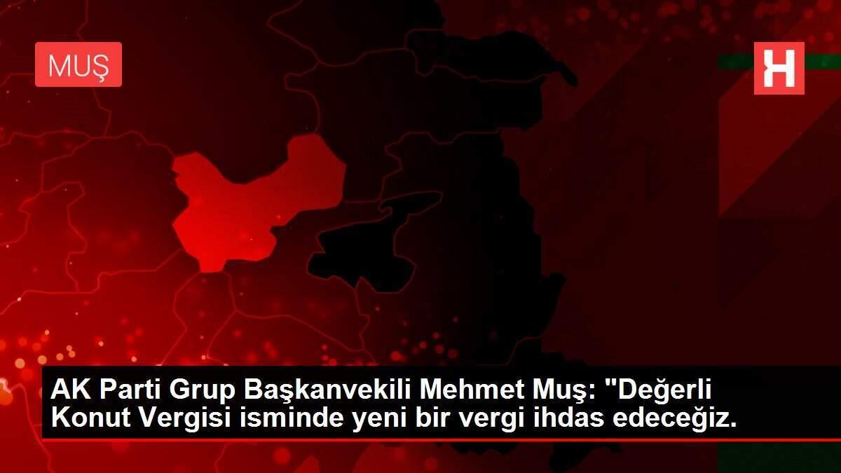 AK Parti Grup Başkanvekili Mehmet Muş: AK Parti Grup Başkanvekili Mehmet Muş: