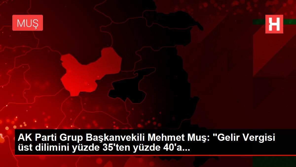 AK Parti Grup Başkanvekili Mehmet Muş: AK Parti Grup Başkanvekili Mehmet Muş: