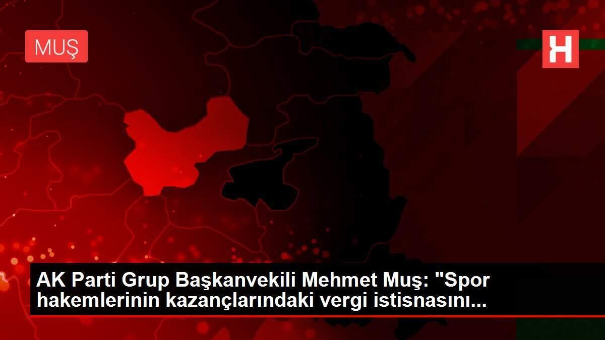 AK Parti Grup Başkanvekili Mehmet Muş: AK Parti Grup Başkanvekili Mehmet Muş: