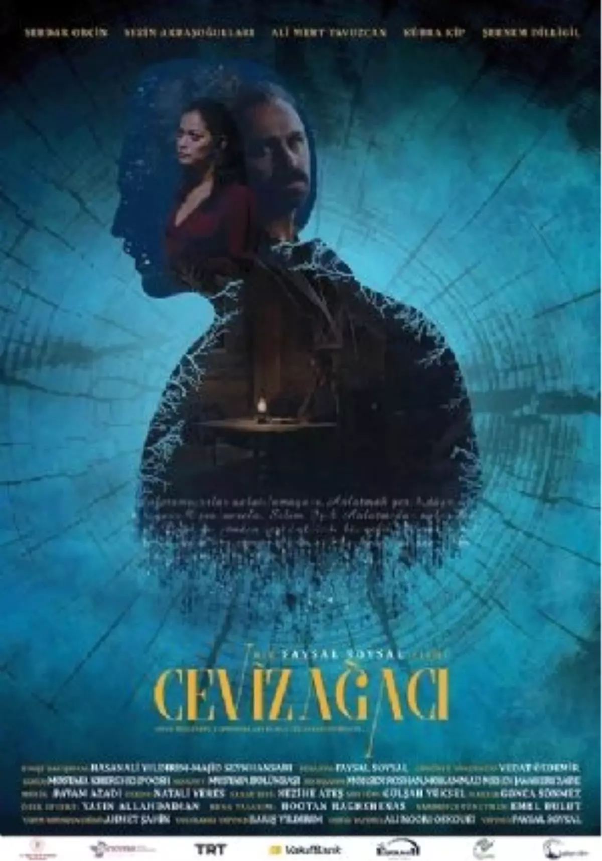 Ceviz Ağacı Filmi
