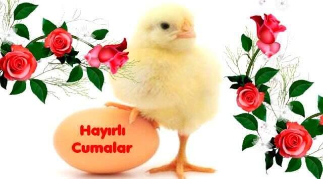 Cuma mesajları resimli yeni 2019 - 18 Ekim Cuma gününe özel en güzel Cuma mesajları