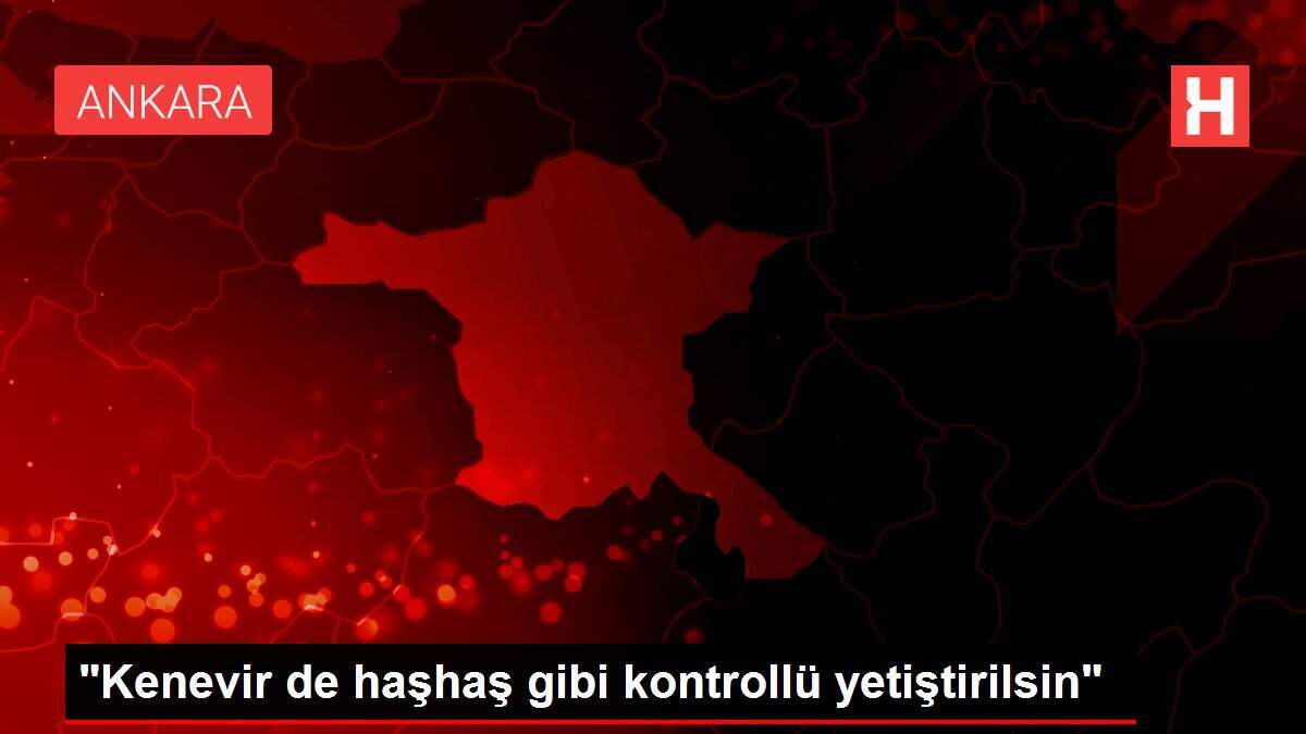 'Kenevir de haşhaş gibi kontrollü yetiştirilsin'